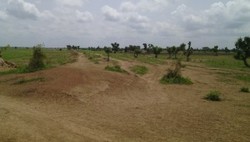 Medium_land-in-taraba-state-north-eastern-nigeria-that-farmers-have-been-evicted-from-300x170