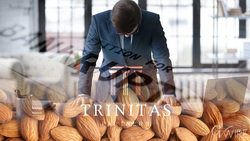 Medium_trinitas-partners-going-bankrupt-because-almonds-arent-profitable_1280x720