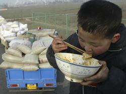Agriculture : La Chine deviendra le premier importateur mondial Medium_starch-56453640