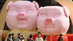 Medium_500086-china-year-of-the-pig
