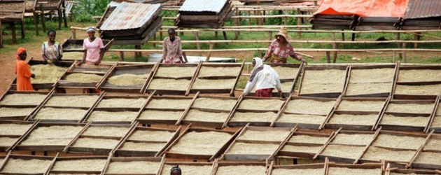At least 70,000 forced off their land in Ethiopia, rights group reports 