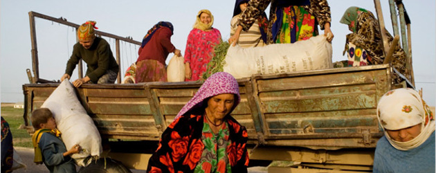 Tajikistan to lease farmland to Chinese 
