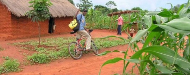 Sierra Leone : un investissement chinois de 1,3 milliards $ dans l’agriculture 