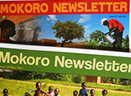 Original_mokoro-newsletter05