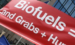 Medium_biofuels_banner_crop_3