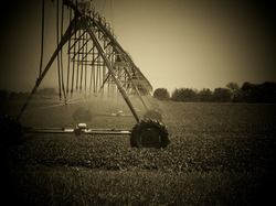 Medium_pivot-irrigation-nebraska