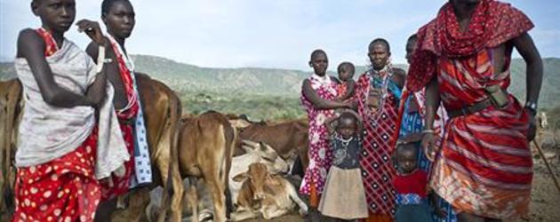 The global land grab: The new enclosures 