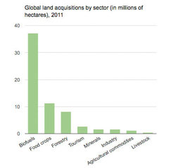Medium_land-acquisitions-by-sector-landmatrix2012