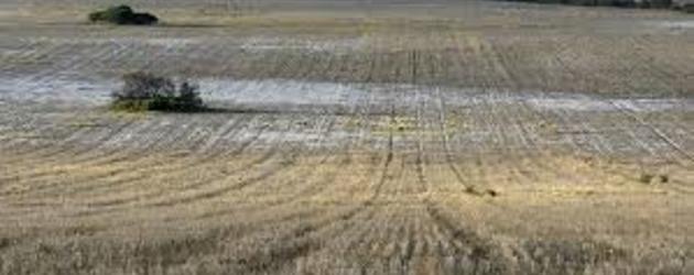 Chinese flooded with land offers 