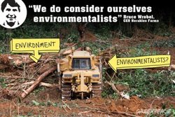 Medium_cameroon-herakles-do-consider-themselves-environmentalists_greenpeace