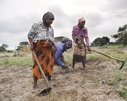 Medium_women-farmers-mozambique