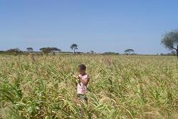 Medium_southern-ethiopia-farm-land-2008