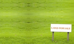 Medium_land-for-sale-sign