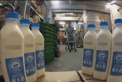 Medium_china-milk