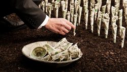 Medium_businessman-planting-money