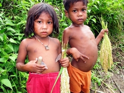 Medium_batak_children_with_rice