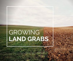 Medium_landgrabs