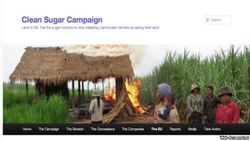 Medium_clean_sugar_campaign