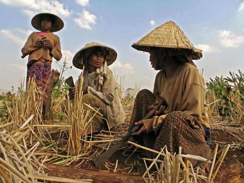 laos agriculture