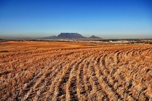 by Deon Maritz