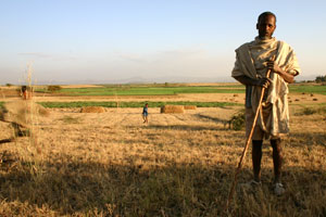 Ethiopian farmers are now painted as part of the problem, rather than a potential solution.