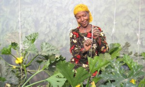 A woman tends vegetables at a giant Saudi-financed farm in Ethiopia.