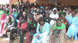 Farmers and pastoralists at the Kolongo Forum in Mali's Office du Niger call for all land deals with foreign investors to be suspended (Photo: CNOP). 