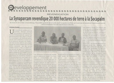 Large_article_le_financier_d_afrique_sur_la_manif_synaparcam_bon