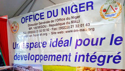 Medium_office-du-niger-segou-agriculture