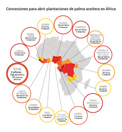 Medium_concessions_oil_palm_plantations_es