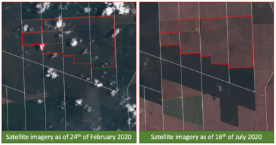 Large_satellite-image-1