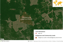 Medium_brazilian-palm-oil-reference-map_local_en