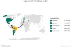 Medium_2017_brazil-palm-oil_financial-flow_trase