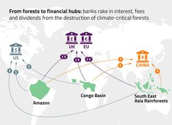 Medium_forest_debt_map-21_online-01