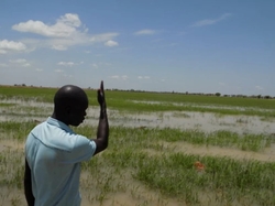 Medium_inondation-pluie-office-niger-champ-riz-agriculture