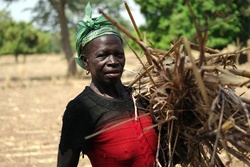 Medium_africa-women-farmers-2010-04-27