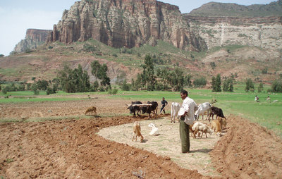 farmlandgrab.org | Ethiopian case study illustrates shortcomings of