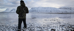 Medium_r-iceland-mass-herring-deaths-fish-large570
