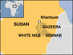 Medium_sudan_sennar