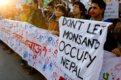 Medium_monsanto-protest-nepal