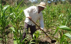 Medium_colombia-small-scale-farmer-1220x763