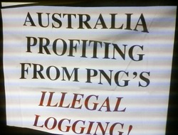 Medium_australia_profiting_from_png_illegal_logging_medium