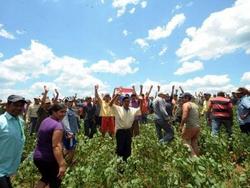 Medium_trabajadores-paraguayos-del-campo-se-manifiestan-uno-los-campos-soja-