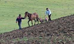 Medium_peasant-farmers-near-ploi-012
