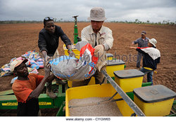 Medium_africa-angola-malanje-black-stone-farm-a-20000-hectare-farm-of-chinese-cygw65