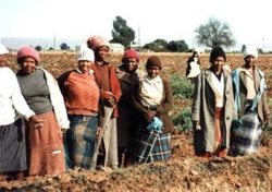 Medium_south-african-farmers