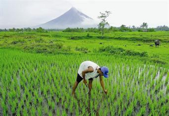 farmlandgrab.org | Gulf states plan farm projects in Philippines